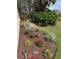 Landscaped backyard with various plants and mulch at 7619 Teal Trace, Bradenton, FL 34203