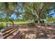 Relaxing park scene with benches under a large tree at 12563 Felice Dr, Venice, FL 34293