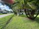 Large grassy yard with palm trees and a home in the background at 1703 Center Rd, Terra Ceia, FL 34250