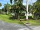 Landscaped yard with palm trees and a glimpse of the house at 1703 Center Rd, Terra Ceia, FL 34250