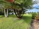 Spacious front yard with lush grass and mature palm trees at 1703 Center Rd, Terra Ceia, FL 34250