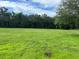 Large grassy lot with mature trees at 1703 Center Rd, Terra Ceia, FL 34250