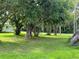 Landscaped lot with mature trees at 1703 Center Rd, Terra Ceia, FL 34250