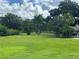 Expansive green space with palm trees at 1703 Center Rd, Terra Ceia, FL 34250