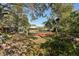 Expansive backyard with mature trees and a red footbridge at 2519 17Th W Ave, Bradenton, FL 34205