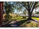 Landscaped backyard with large oak tree and grassy area at 501 Spring Lakes Blvd # 501, Bradenton, FL 34210