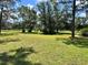 Spacious grassy yard with mature trees and a tranquil setting at 5134 241St E St, Myakka City, FL 34251