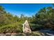 Wooden boardwalk leading through a lush mangrove landscape at 716 Tropical Cir, Sarasota, FL 34242