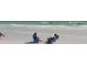 Relaxing beach view with people enjoying the sun at 1228 Siesta Bayside Dr # 1228-C, Sarasota, FL 34242