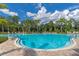 Resort-style pool with lounge chairs and landscaping at 2415 Midnight Pearl Dr, Sarasota, FL 34240