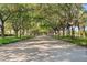 Beautiful tree-lined drive leading into the community at 5521 Bilbao Pl, Sarasota, FL 34238