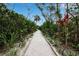 Paved pathway meanders through a tropical landscape at 821 Evergreen Way, Longboat Key, FL 34228