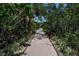 Lush foliage lines a tranquil nature path, perfect for relaxing strolls at 821 Evergreen Way, Longboat Key, FL 34228