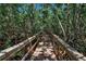 Elevated boardwalk path meanders through a mangrove forest at 821 Evergreen Way, Longboat Key, FL 34228