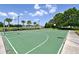Enjoy a game on the community basketball court at 12607 Wheatgrass Ct, Parrish, FL 34219