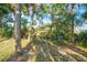Landscaped backyard with lush vegetation and palm trees at 557 Marsh Creek Rd, Venice, FL 34292