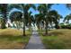 Scenic walkway lined with palm trees leads to the pool area at 6202 Midnight Pass Rd # 201, Sarasota, FL 34242