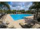 Large community swimming pool with lounge chairs and mature palms at 10817 56Th St E, Parrish, FL 34219