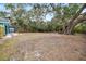 Backyard with large oak trees and shed at 3200 Tobero Ln, Sarasota, FL 34235