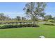 A lush green backyard with manicured landscaping and a tranquil view of the pond creates a serene outdoor space at 3360 Founders Club Dr, Sarasota, FL 34240