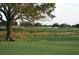 Scenic golf course view with lush greens and a large oak tree at 3360 Founders Club Dr, Sarasota, FL 34240