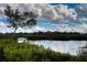 Enjoy kayaking through calm waters, surrounded by nature at 1719 Starling Dr # 1719, Sarasota, FL 34231