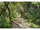 Scenic nature trail shaded by lush foliage at 1719 Starling Dr # 1719, Sarasota, FL 34231
