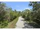 Paved nature trail winding through trees and vegetation at 1719 Starling Dr # 1719, Sarasota, FL 34231