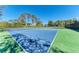 Two well-maintained tennis courts at 362 Pine Run Dr, Osprey, FL 34229