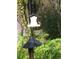 A brightly colored Painted Bunting perched at the bird feeder at 4939 Myakka Valley Trl, Sarasota, FL 34241