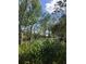 View of a home and backyard through surrounding lush greenery at 4939 Myakka Valley Trl, Sarasota, FL 34241