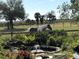 A serene pond and horse in the distance at 4939 Myakka Valley Trl, Sarasota, FL 34241