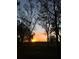 Picturesque view of a vibrant sunset through silhouette of trees, creating a serene setting at 4939 Myakka Valley Trl, Sarasota, FL 34241