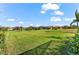 Grassy backyard view featuring vibrant greenery and distant homes in a tranquil setting at 10120 Carnoustie Pl, Bradenton, FL 34211