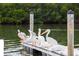 Pelicans perched on a dock by the water at 10315 Cortez W Rd # 58-3, Bradenton, FL 34210