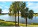 Scenic view of the lake, lush landscaping, and golf course at 5250 Hyland Hills Ave # 1525, Sarasota, FL 34241