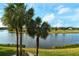 Peaceful lake view with palm trees and golf course in the background at 5250 Hyland Hills Ave # 1525, Sarasota, FL 34241