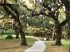 Scenic path under lush canopy of trees with Spanish moss at 5449 Chanteclaire # 75, Sarasota, FL 34235