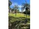 View of community green space with palm trees and buildings at 6038 Red Maple Rd # 1003, Bradenton, FL 34210