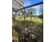 Enclosed patio view of manicured lawn and palm trees at 6038 Red Maple Rd # 1003, Bradenton, FL 34210