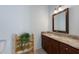 Powder room with marble countertop, wood cabinet, and decorative hanging plant at 3310 Twin Rivers Trl, Parrish, FL 34219
