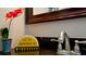 Bathroom sink with decorative accents at 4010 18Th W Ave, Bradenton, FL 34205