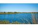 Serene waterfront view with calm water and natural vegetation at 4010 18Th W Ave, Bradenton, FL 34205
