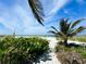 Beach access with lush vegetation, palm trees, and ocean views at 6330 Laguna Dr, Longboat Key, FL 34228