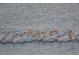 White pelicans floating on the water at 6430 Sun Eagle Ln # 201, Bradenton, FL 34210