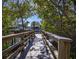 Wooden dock leading to the water with mangrove trees at 1060 Water Oak Ne Ct, St Petersburg, FL 33703