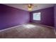 Carpeted bedroom with purple walls and ceiling fan at 1535 Nursery Rd # 107, Clearwater, FL 33756