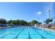 Olympic-size swimming pool with lanes and seating at 2254 Hawthorne St, Sarasota, FL 34239