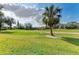 Lush golf course view with a palm tree and a manicured green and blue sky at 5304 96Th E St, Bradenton, FL 34211