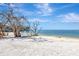 White sand beach with tranquil ocean views at 9 Sandy Cove Rd # 8A, Sarasota, FL 34242